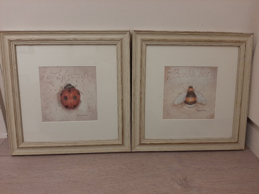2x Kathryn White - Bumblebee en Ladybird, Ophalen, Gebruikt, Minder dan 50 cm, Schilderij