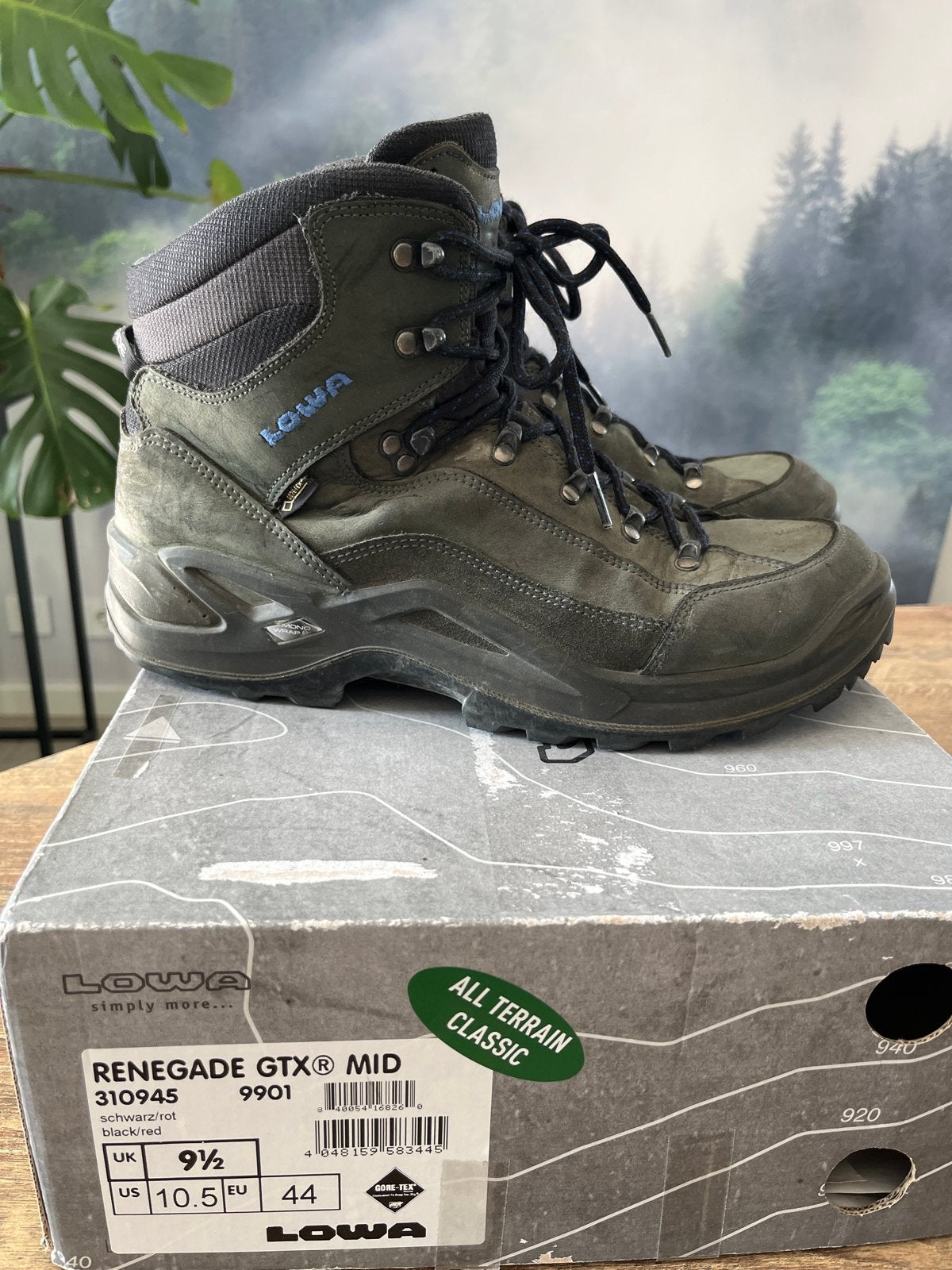 Lowa Renegade GTX Mid wandelschoenen - Maat 44, Sport en Fitness, Bergsport en Wandelen, Gebruikt, Schoenen, Ophalen of Verzenden