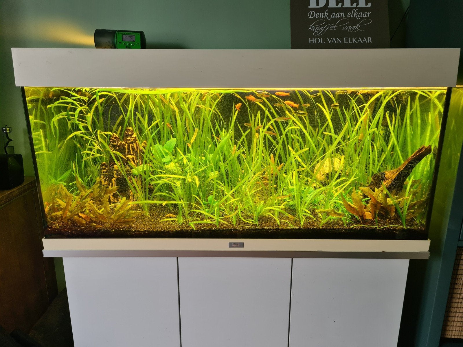 Compleet aquarium, Jewel, 100x40x50., Ophalen, Gebruikt, Gevuld zoetwateraquarium