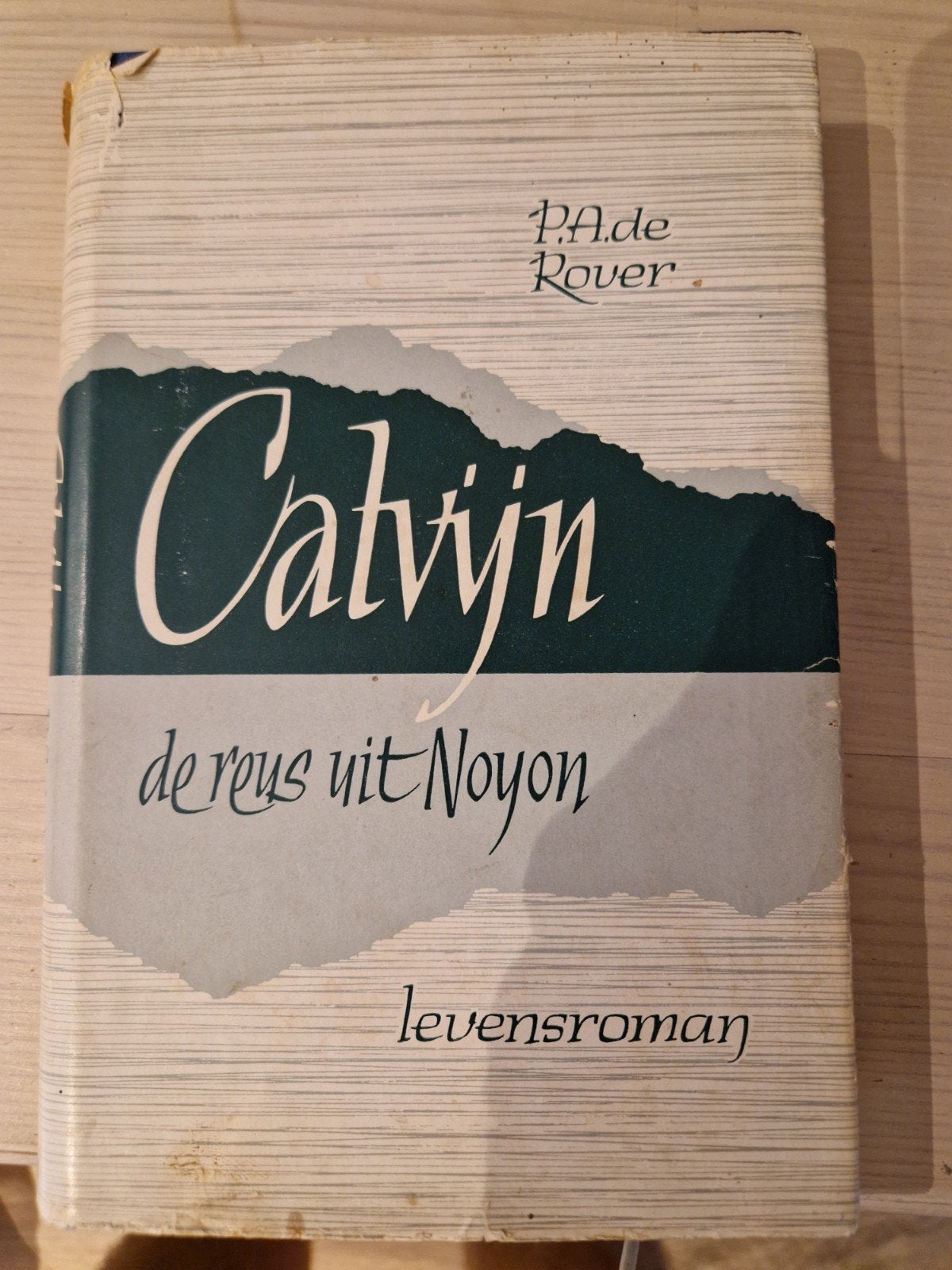 Calvijn de reus uit Noyon - levensroman P.A. de Rover, Boeken, Ophalen of Verzenden, Gelezen, P.A. de Rover, Nederland