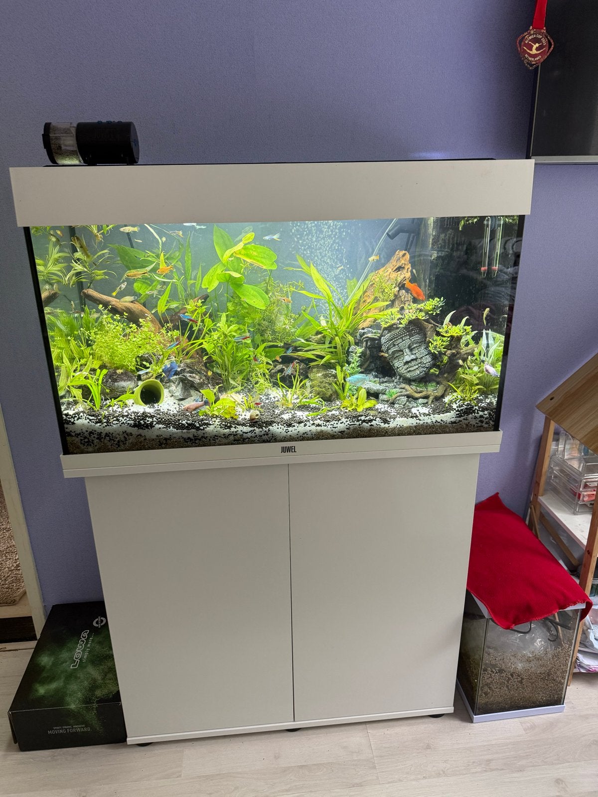 Aquarium juwel 125 rio, Vis