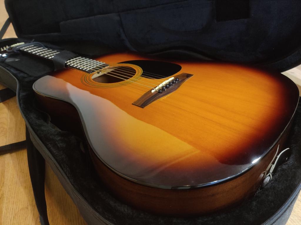 Fender DG-4/TS akoestische gitaar met hoes, Ophalen, Zo goed als nieuw, Western- of Steelstringgitaar, Met koffer