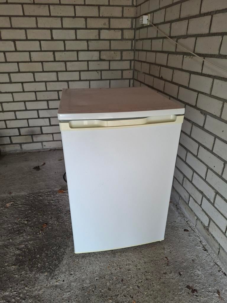 Koelkast met diepvries vak, Witgoed en Apparatuur, Vriezers en Diepvrieskisten, Ophalen, Minder dan 60 cm, 160 cm of meer