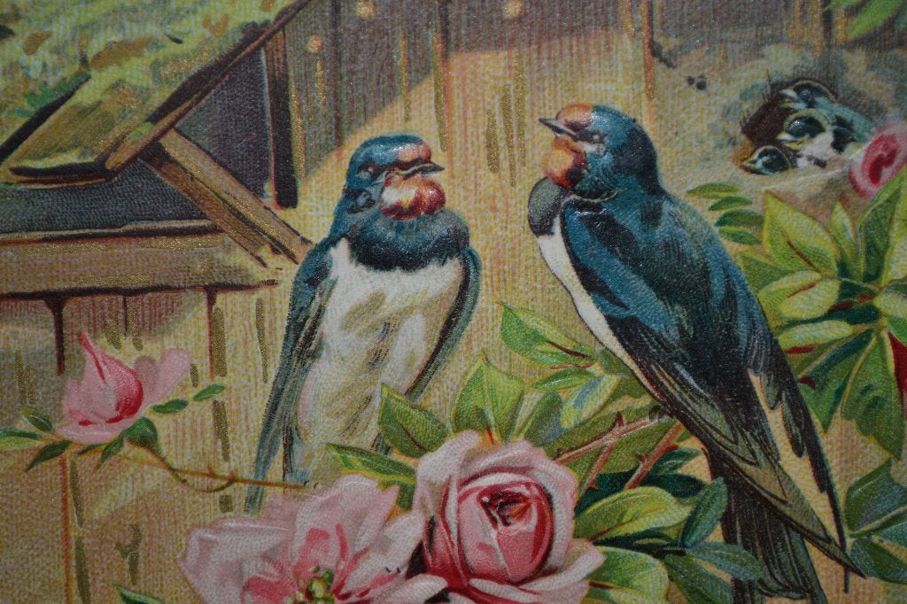 FRANKRIJK RELIEF 1908 VOGELS ZWALUW ROSE ROZEN, Ophalen of Verzenden, Voor 1920, Gelopen, Sterren en Beroemdheden