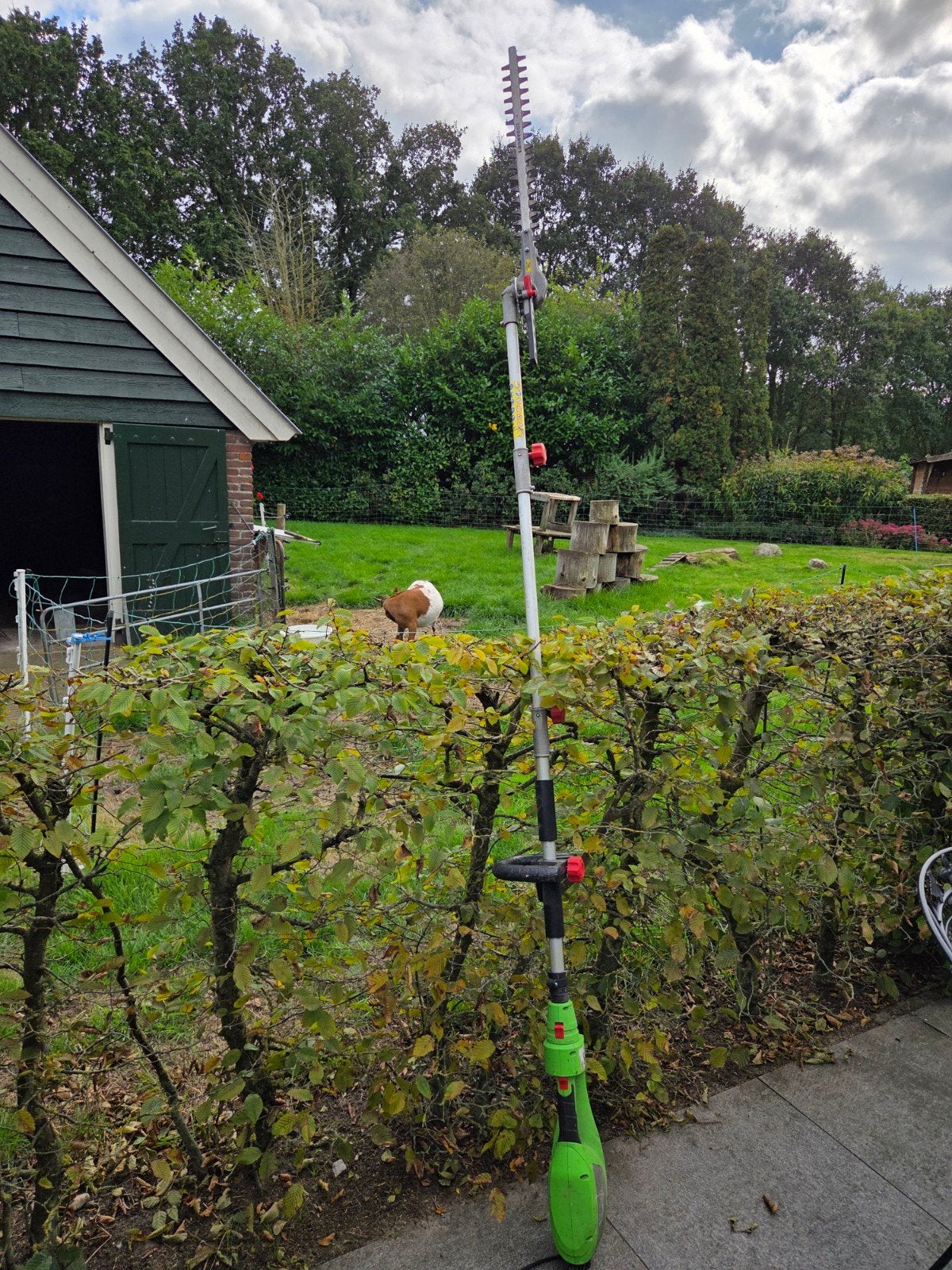 Verstelbare heggenschaar met lange steel van Florabest., Ophalen, Gebruikt, Elektrisch, Florabest