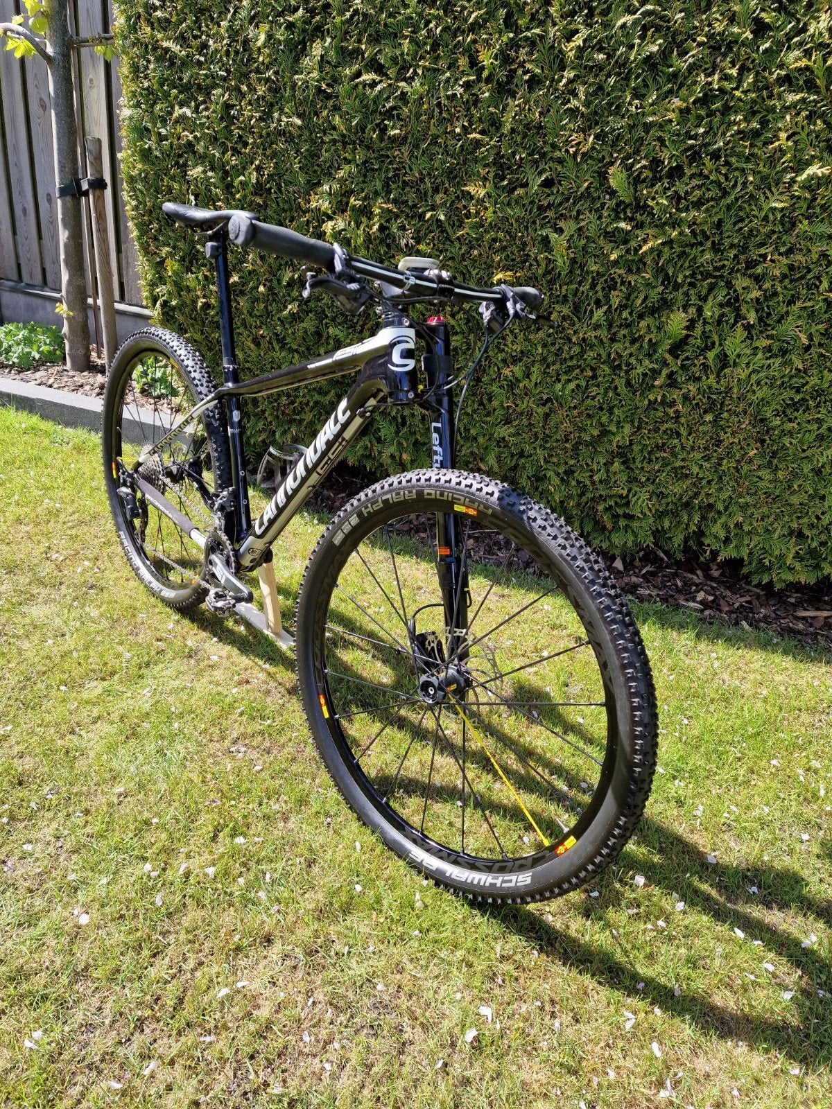 CARBON Cannondale 29er mountainbike Lefty maat M, Ophalen, Overige merken