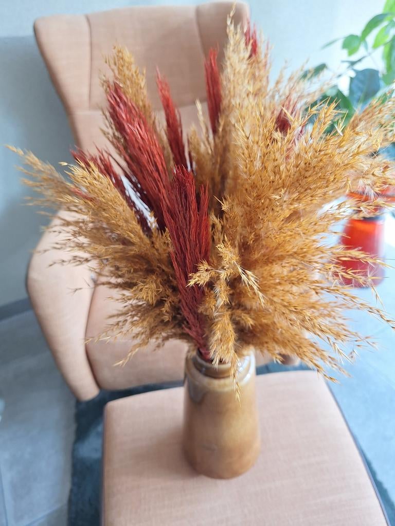 Mooie vaas met droogbloemen., Ophalen, Nieuw