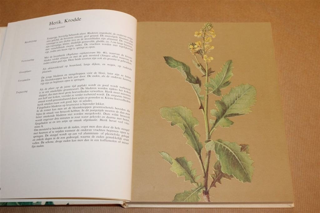 Elseviers Gids Wilde Groenten — Herkennen & Bereiden, Boeken, Ophalen of Verzenden, Gelezen, Bloemen, Planten en Bomen