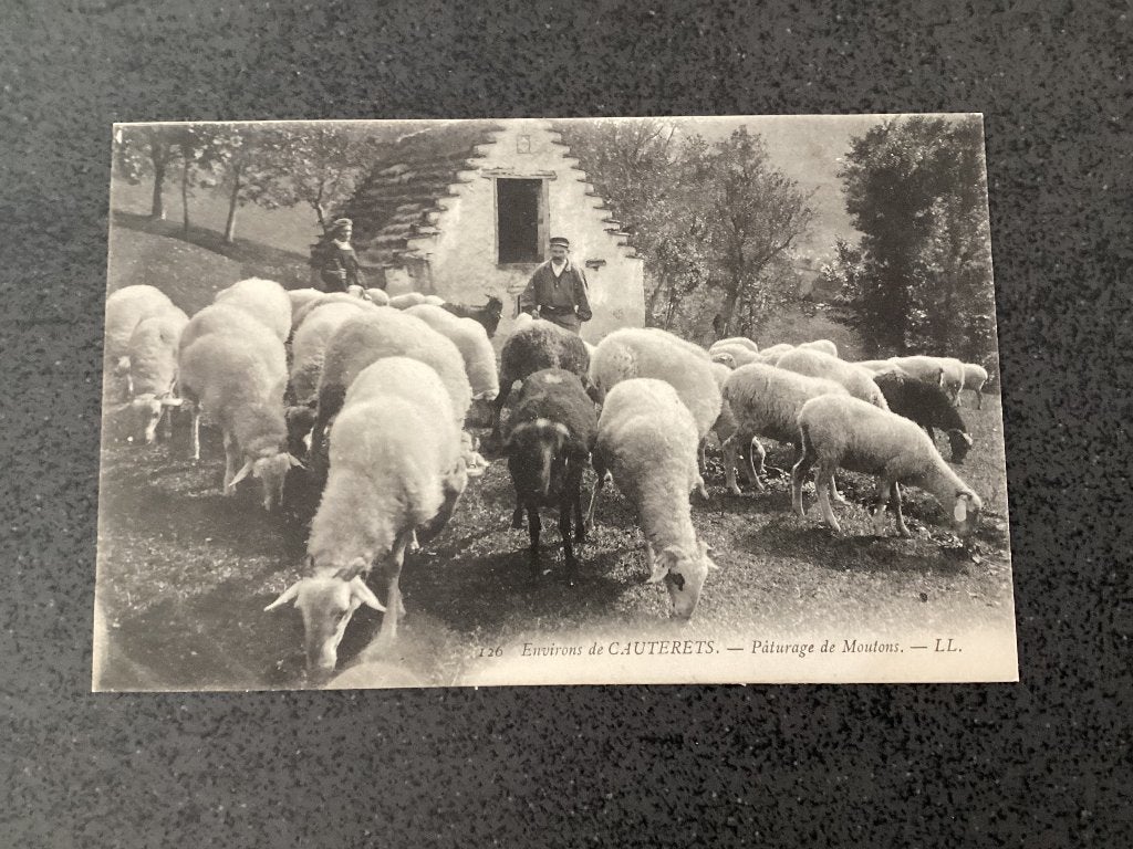 Cauterets. (Schaapherder) Frankrijk., Ophalen of Verzenden, Voor 1920, Ongelopen, Frankrijk