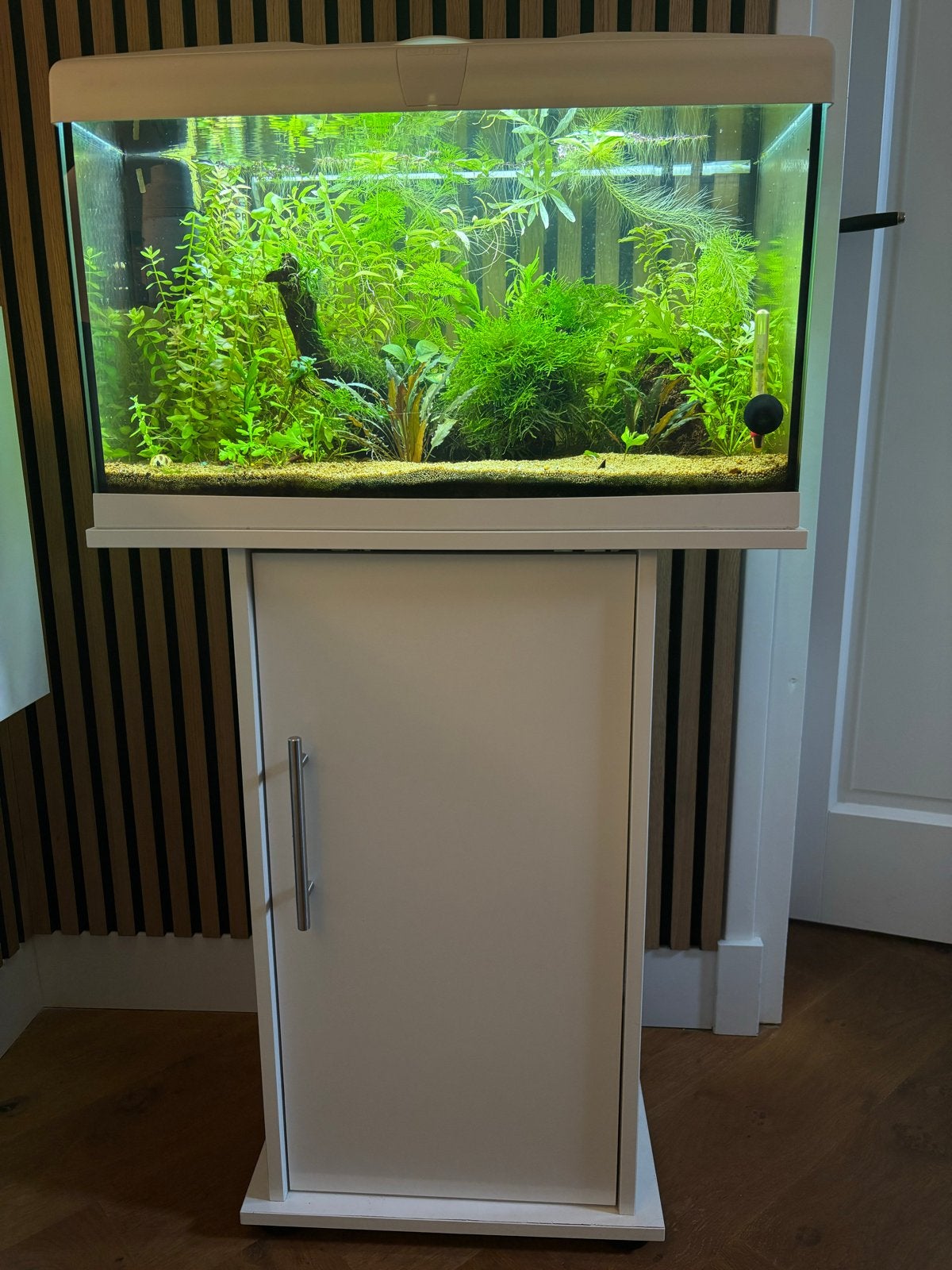 Ferplast Capri 60 incl Juwel meubel en toebehoren, Ophalen, Inclusief deksel, Gebruikt, Leeg aquarium