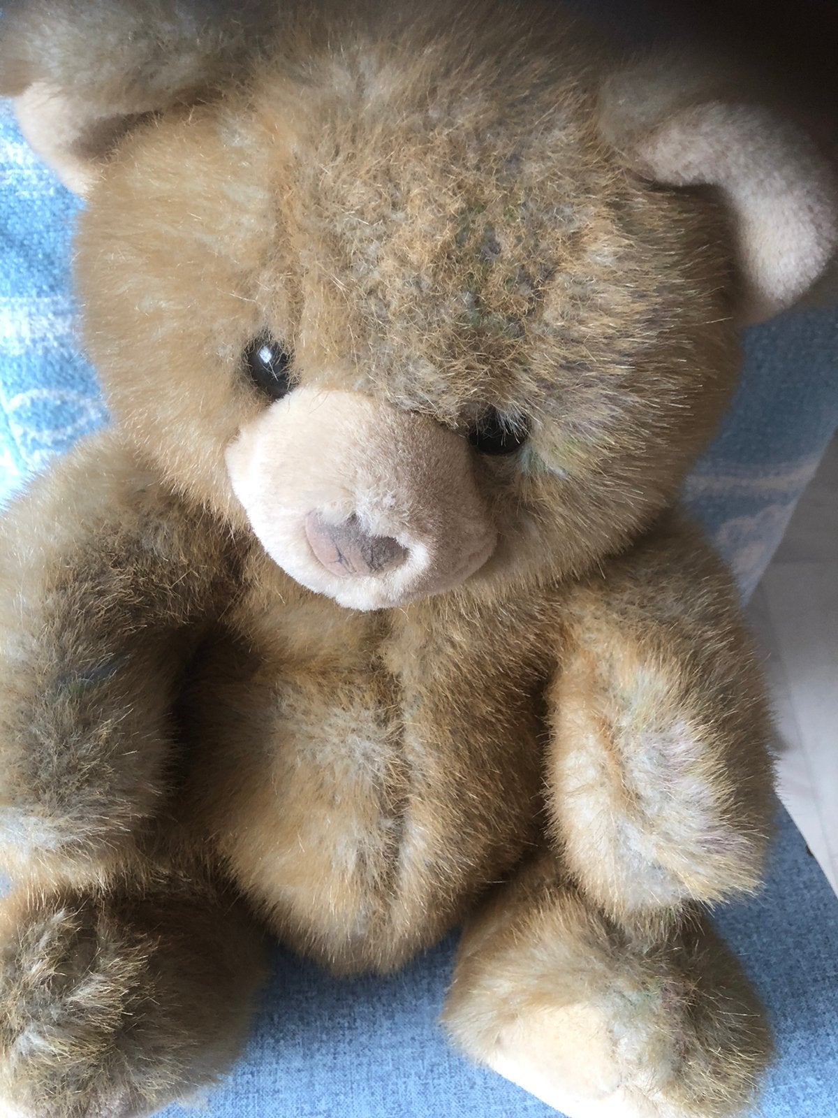 Beer, Verzamelen, Beren en Cherished Teddies, Ophalen of Verzenden, Zo goed als nieuw, Stoffen beer, Overige merken