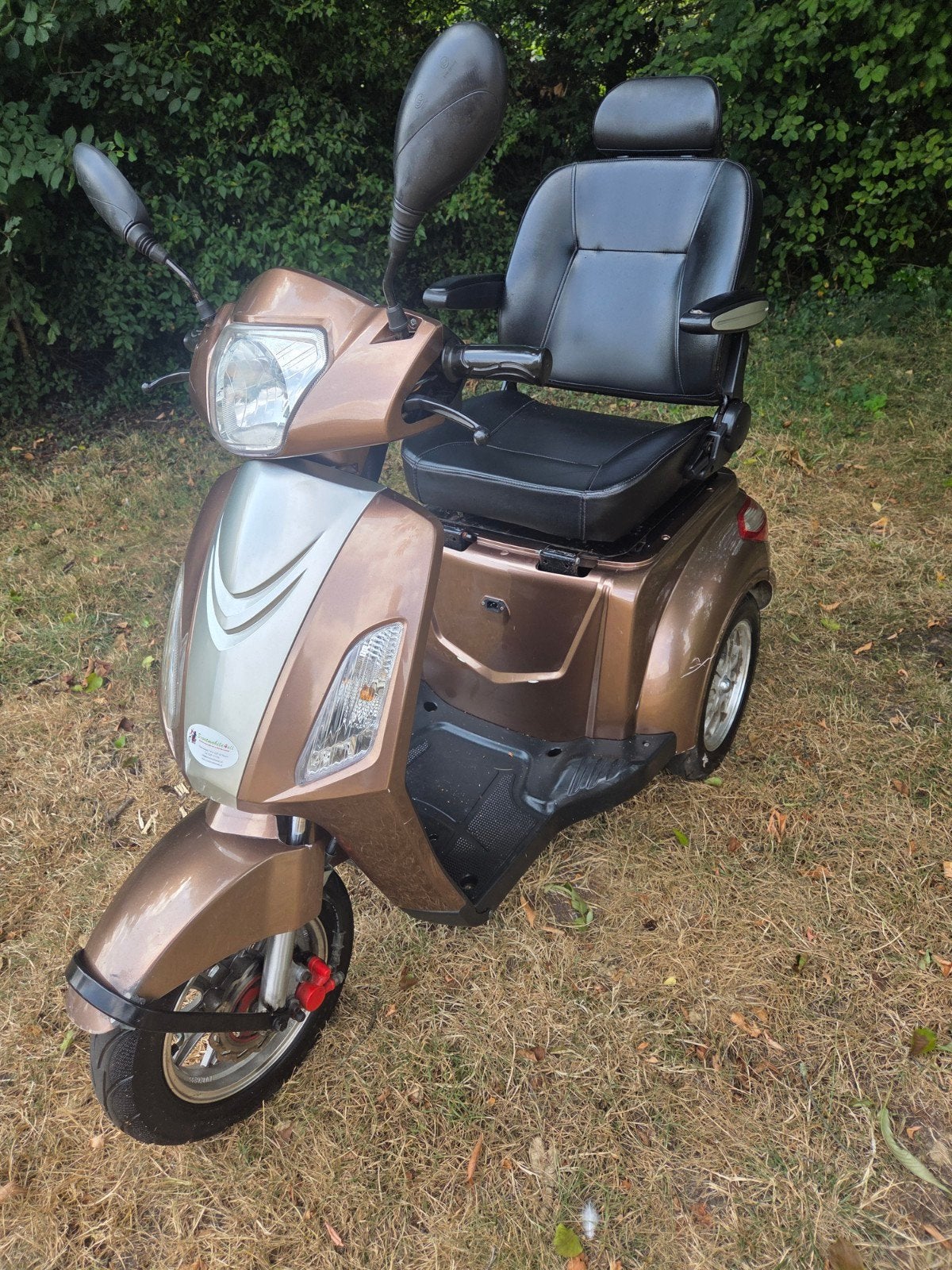 scootmobiel merk Hippicx rijdt 25 km per uur, Diversen, Brommobielen en Scootmobielen, Overige merken, Gebruikt, Ophalen of Verzenden