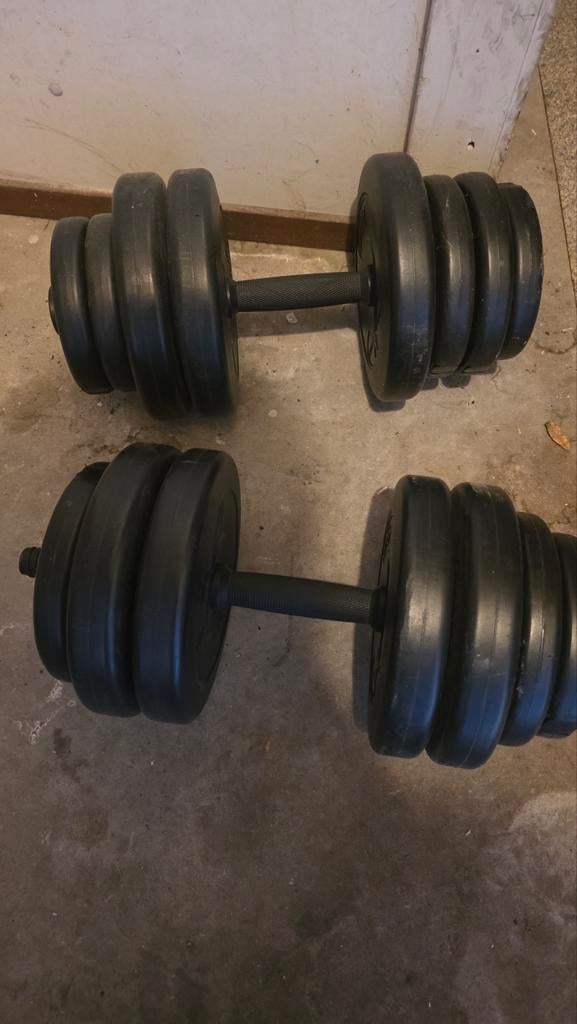 Verstelbare Dumbbells - Ideaal voor Krachttraining Thuis, Ophalen of Verzenden, Gebruikt, Rug, Dumbbell