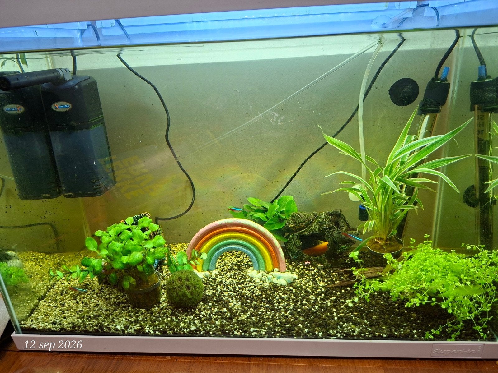 Aquarium Super Fish wit 70 Liter Compleet, Ophalen, Gebruikt