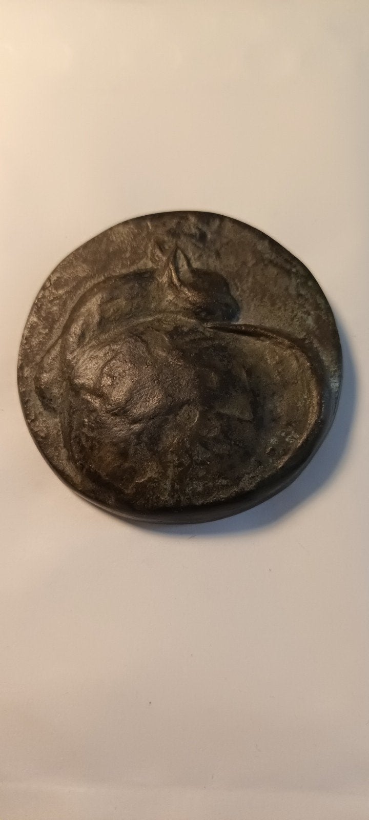Antieke bronzen medaille 'Willy Cat Enough' Brons 210 gram, Ophalen of Verzenden