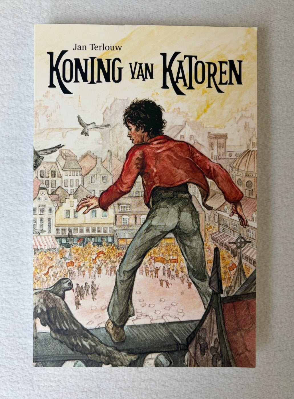 Koning van Katoren - Jan Terlouw (Paperback), Ophalen, Zo goed als nieuw, Fictie