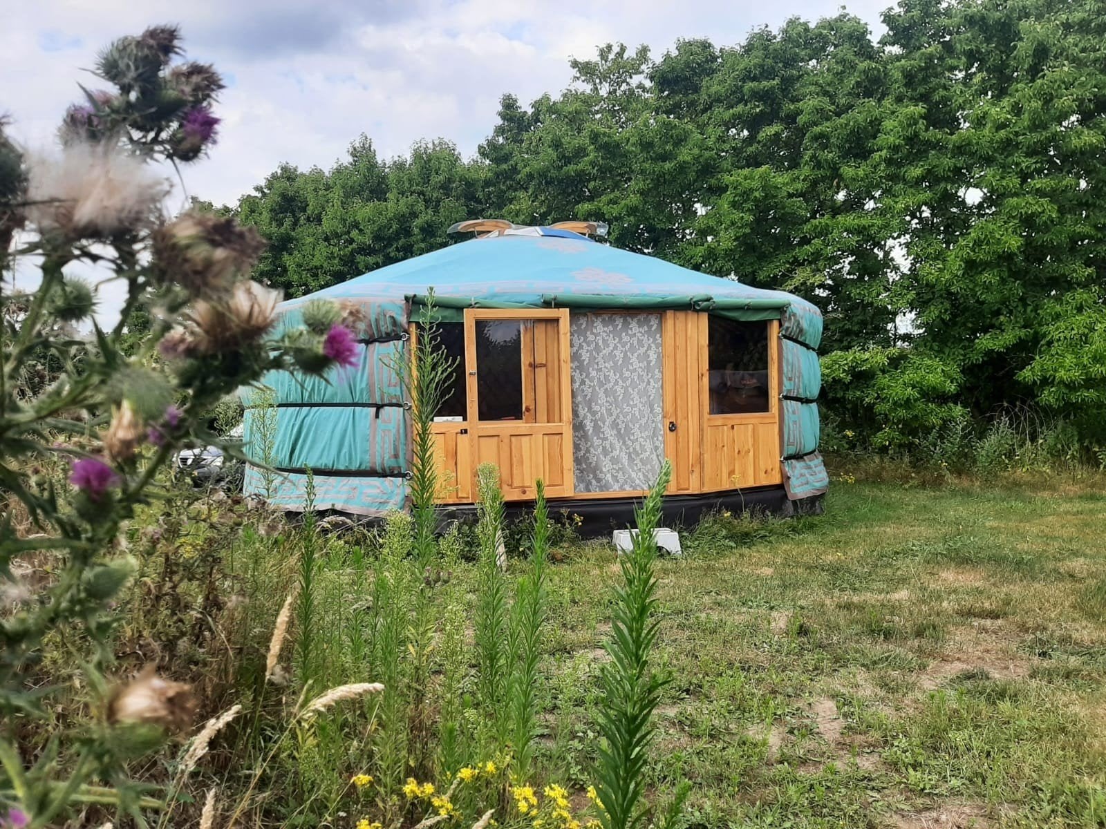 Te Koop | Extra Hoge 7-Muurs Yurt 180cm Jaarrond Wonen incl., Ophalen