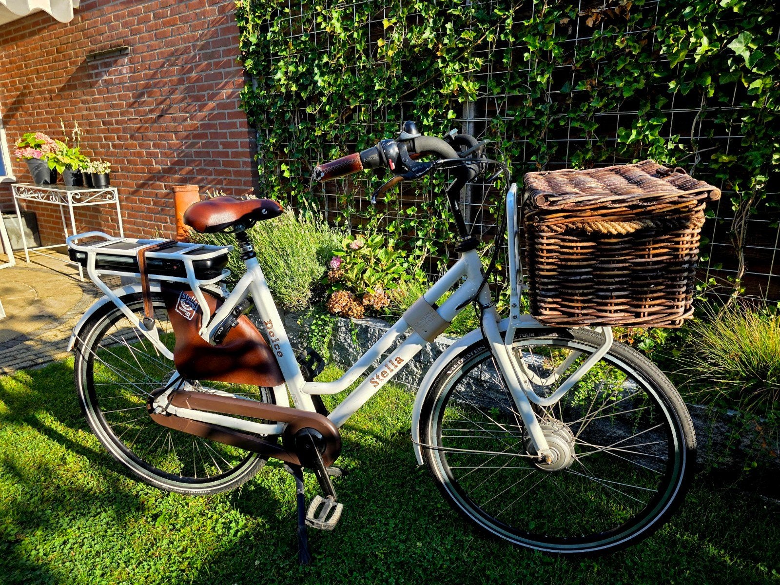 Prachtige ebikes Stella, Koga, Forza, Trek vanaf € 695, Zo goed als nieuw, 51 tot 55 cm, 50 km per accu of meer, Ophalen