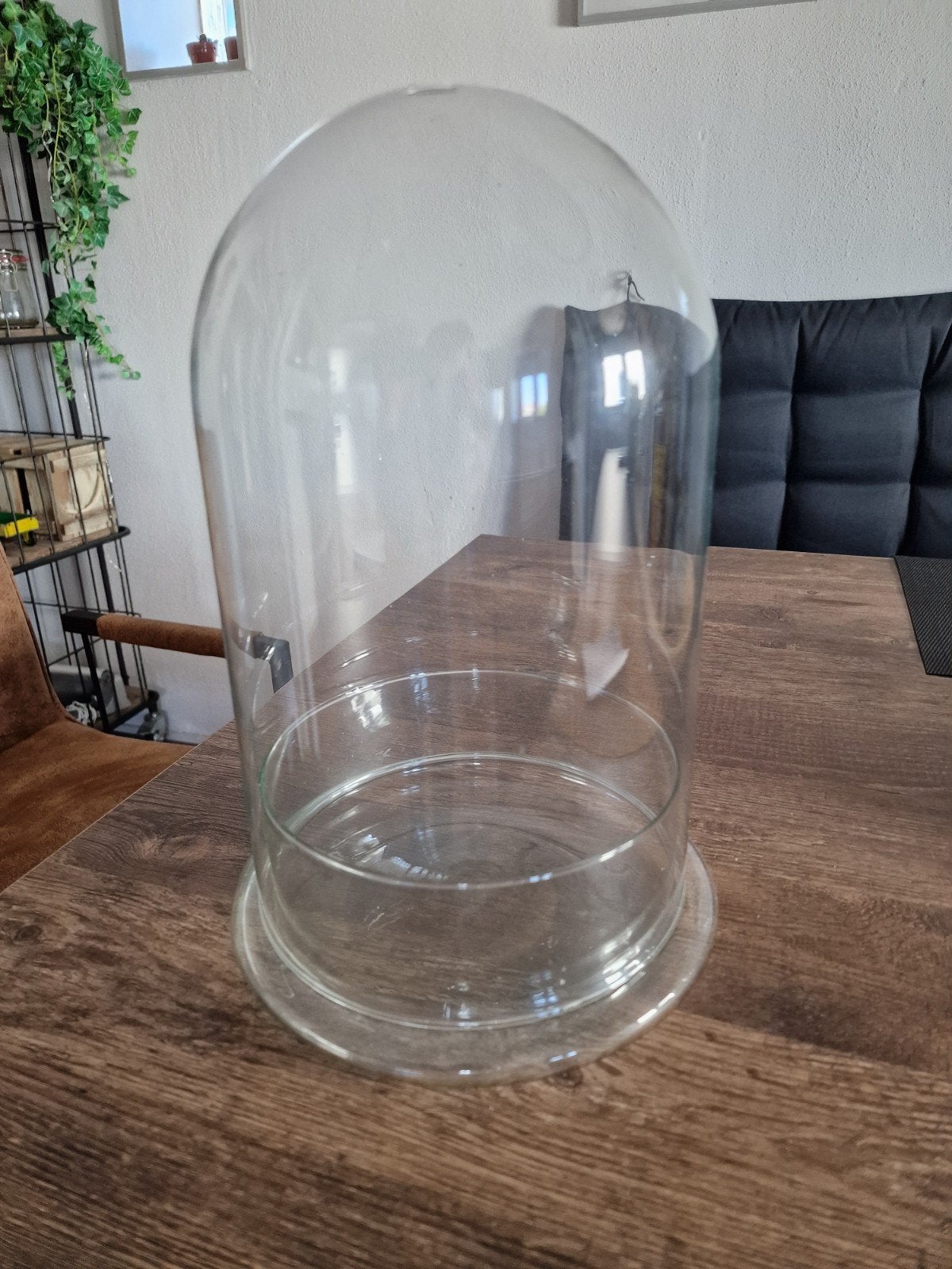 Glazen stolp 35cm hoog - Ø22cm, Ophalen, 22 cm, Zo goed als nieuw, Met deksel