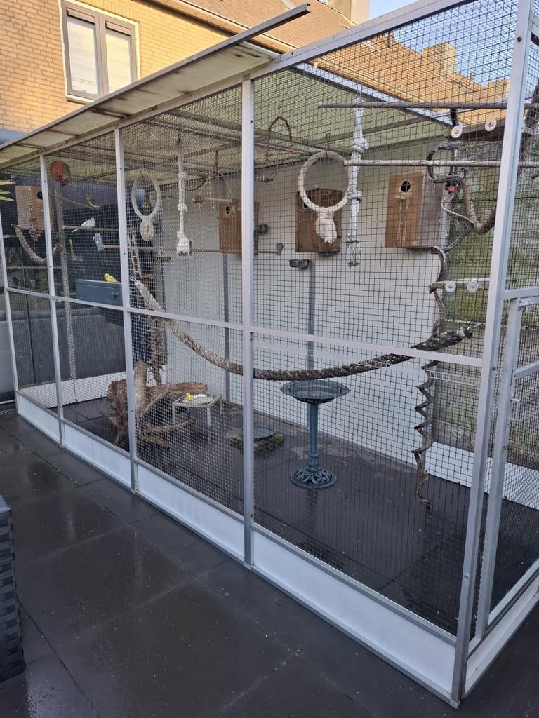 Grote volière 4x2x2 m incl. vogels & toebehoren - Den Bosch, Dieren en Toebehoren, Ophalen, Gebruikt, Kooi-accessoires