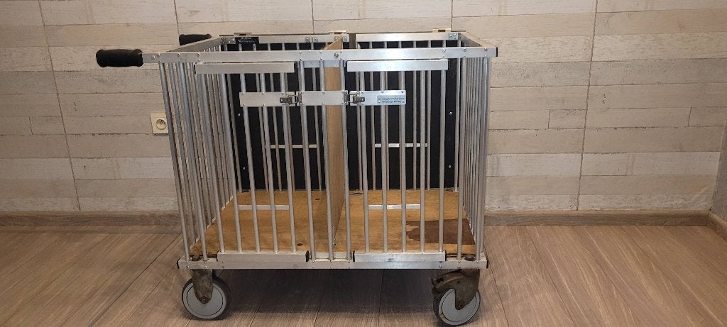 Show honden trollet, Dieren en Toebehoren, Honden-accessoires, Ophalen of Verzenden, Gebruikt