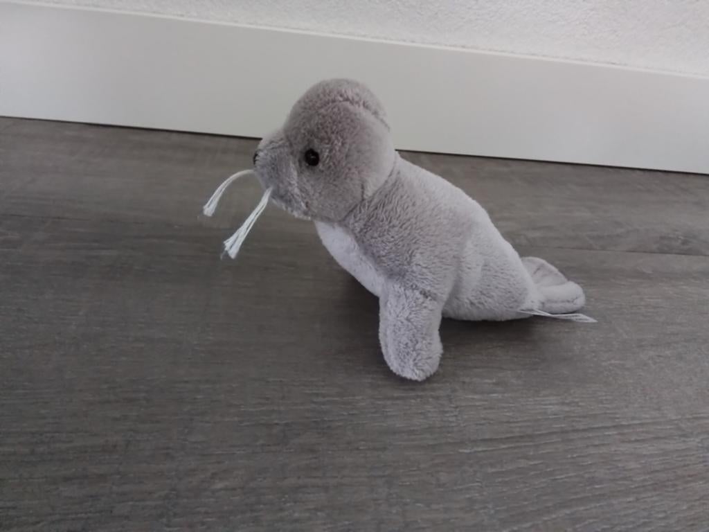 Zeehond knuffel 17 cm, Ophalen of Verzenden, Overige typen