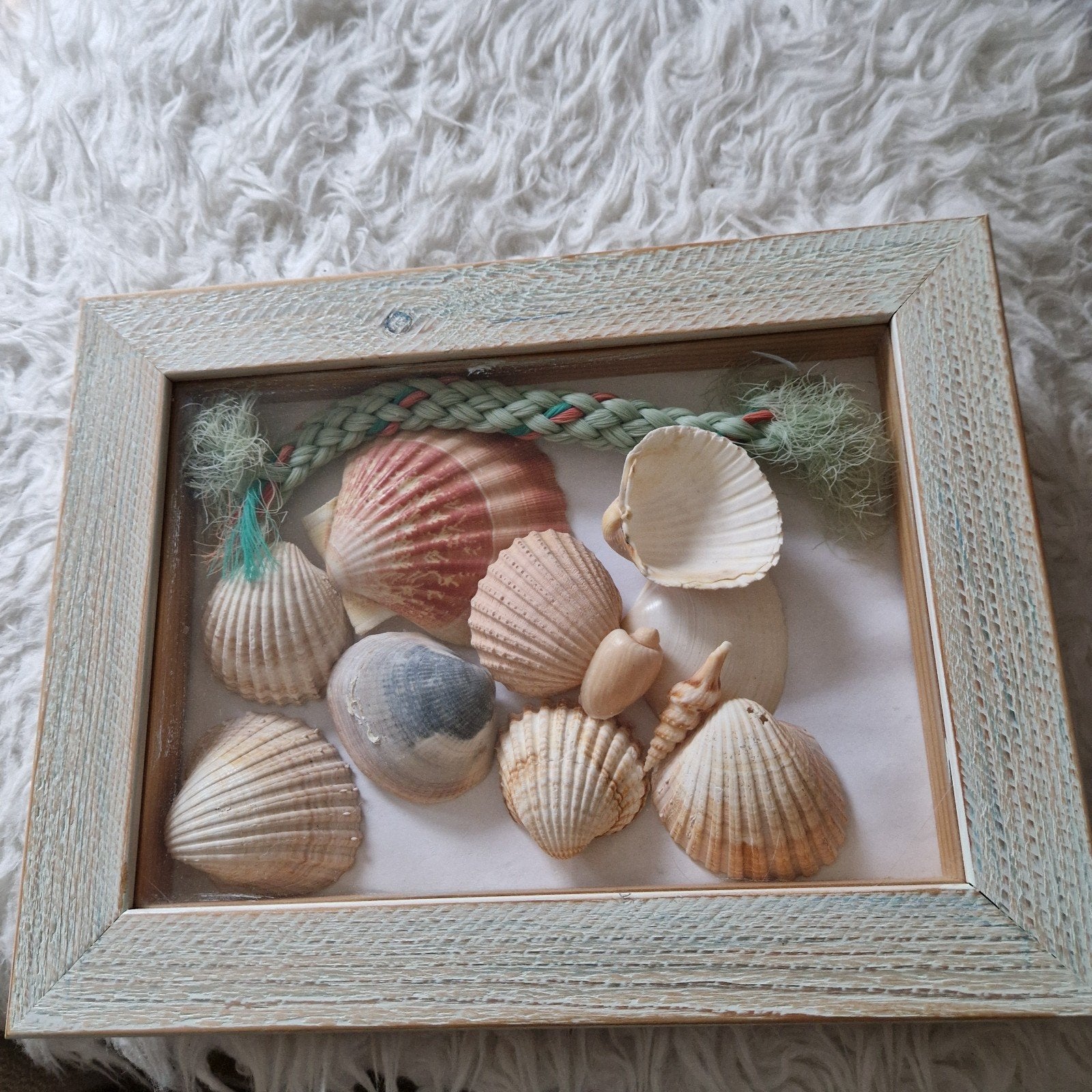 Decoratieve schelpendoos met diverse schelpen, Gebruikt, Meerkleurig, Mediterraans, Ophalen of Verzenden
