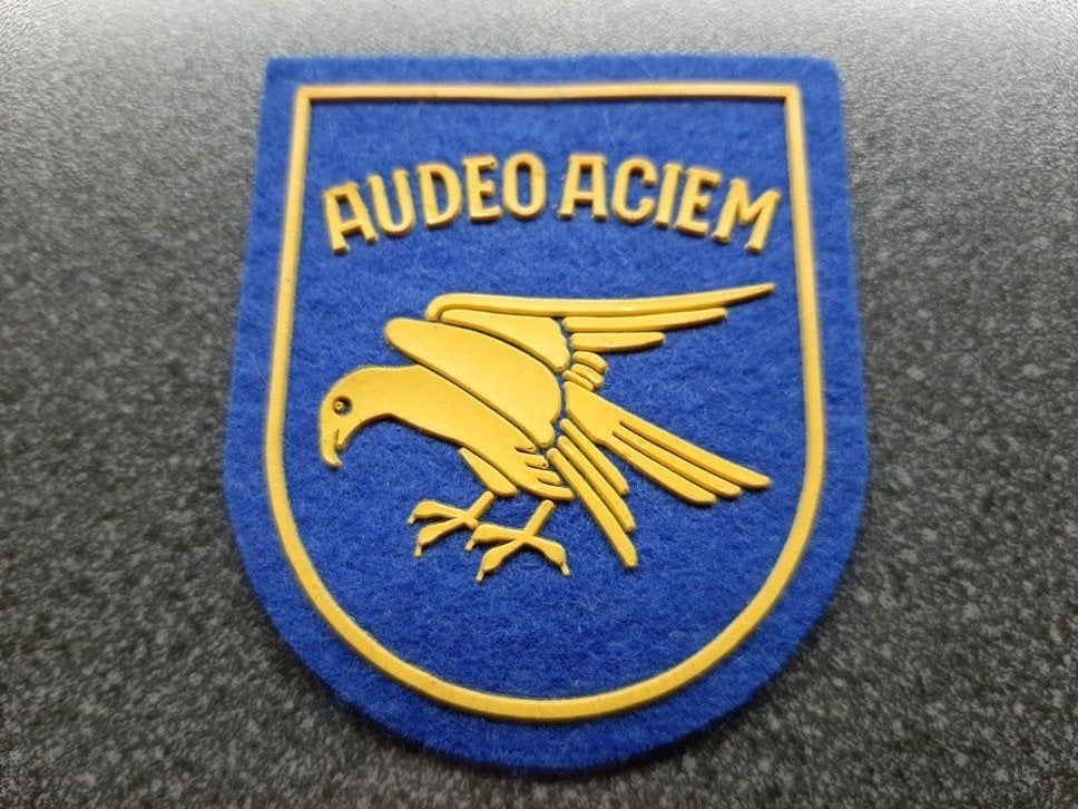 België  - Air Force   1 Fighter  Wing  / patch 70x60 mm., Ophalen of Verzenden, Luchtmacht, Amerika, Embleem of Badge