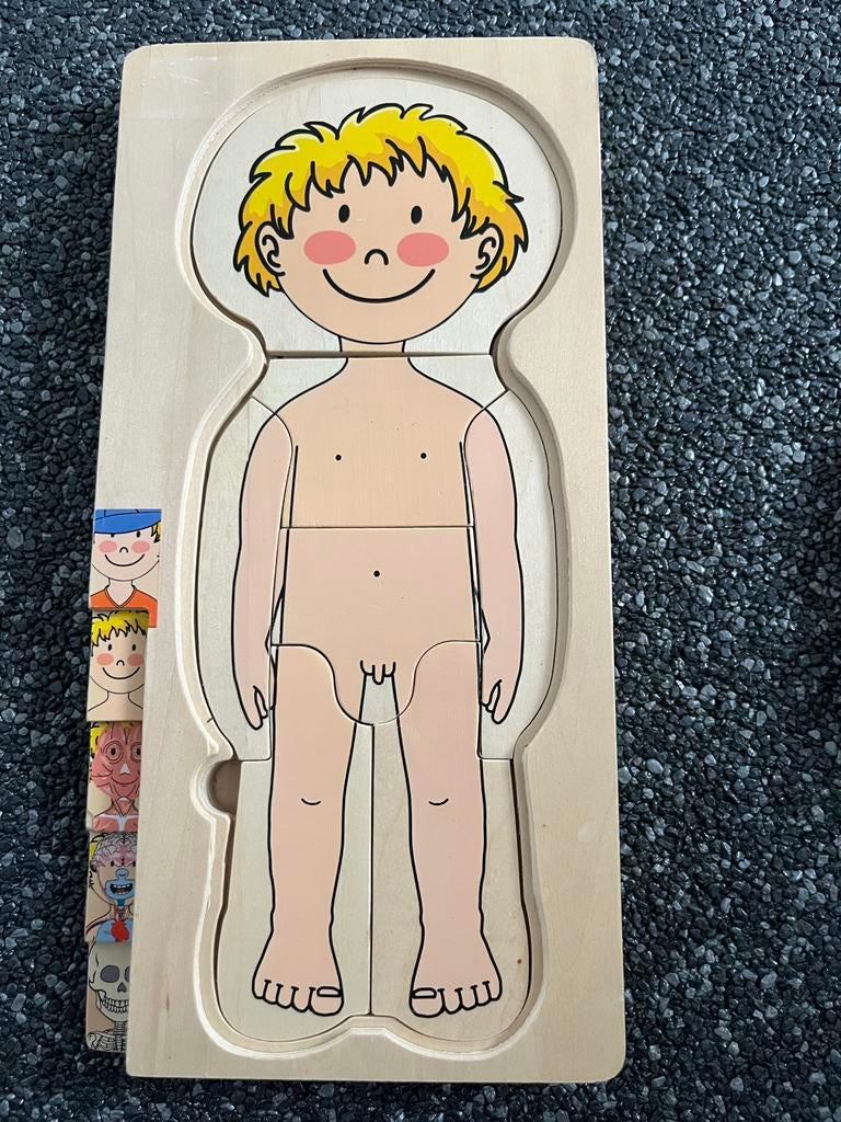Houten puzzel menselijk lichaam - educatief speelgoed, Kinderen en Baby's, Speelgoed | Houten speelgoed, Zo goed als nieuw, Overige typen