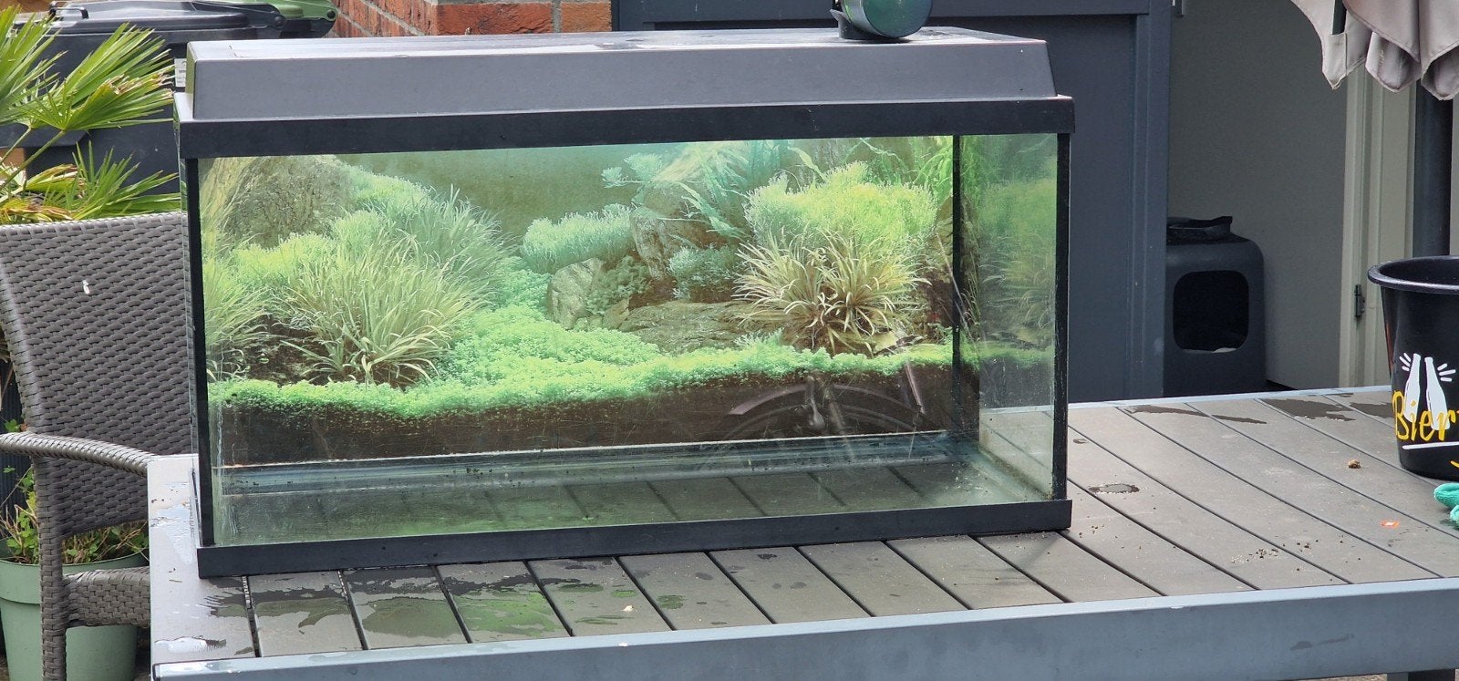 Aquarium 110L, Ophalen, Inclusief deksel, Zo goed als nieuw, Leeg aquarium