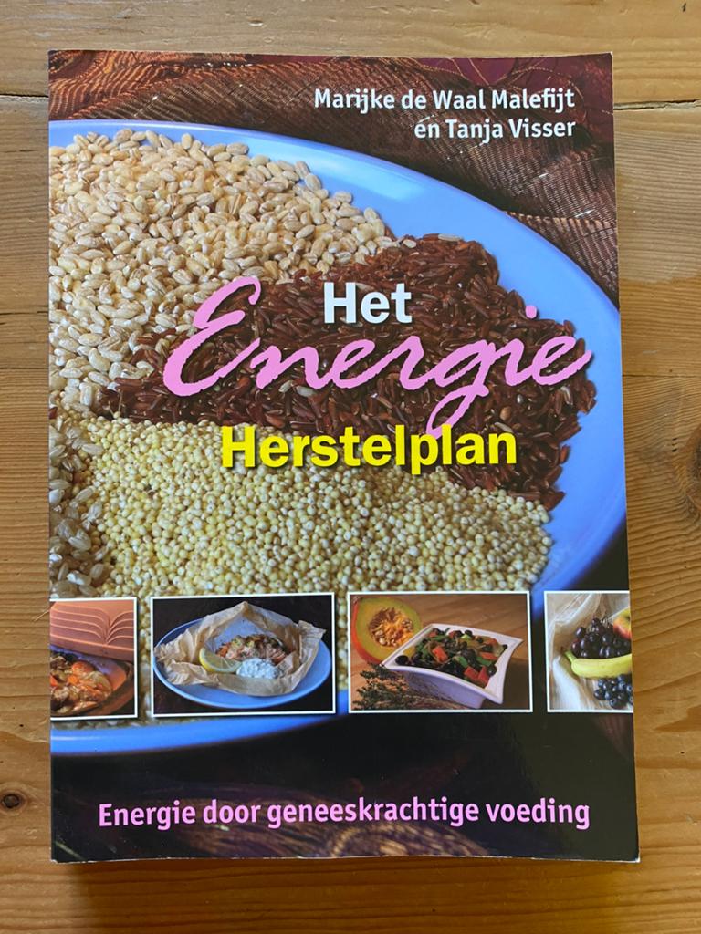 Het energie herstelplan - M de Waal Malefijt, Ophalen of Verzenden, Gelezen, Nederland en België