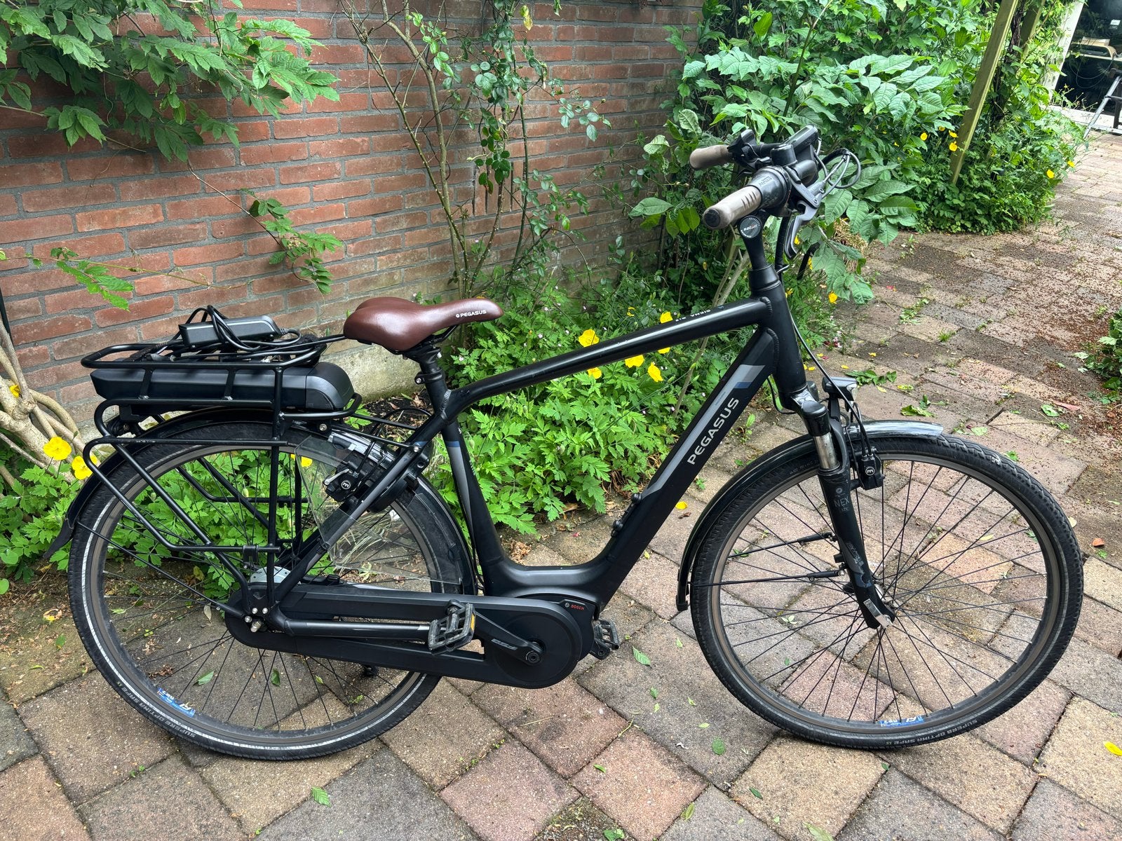 Pegasus Siena E8F Plus E-bike - Bosch Active Line Plus, Gebruikt, 51 tot 55 cm, 50 km per accu of meer, Ophalen
