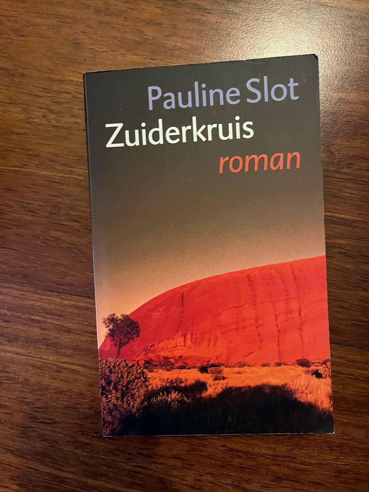Pauline Slot - Zuiderkruis roman, Ophalen of Verzenden, Zo goed als nieuw, Nederland