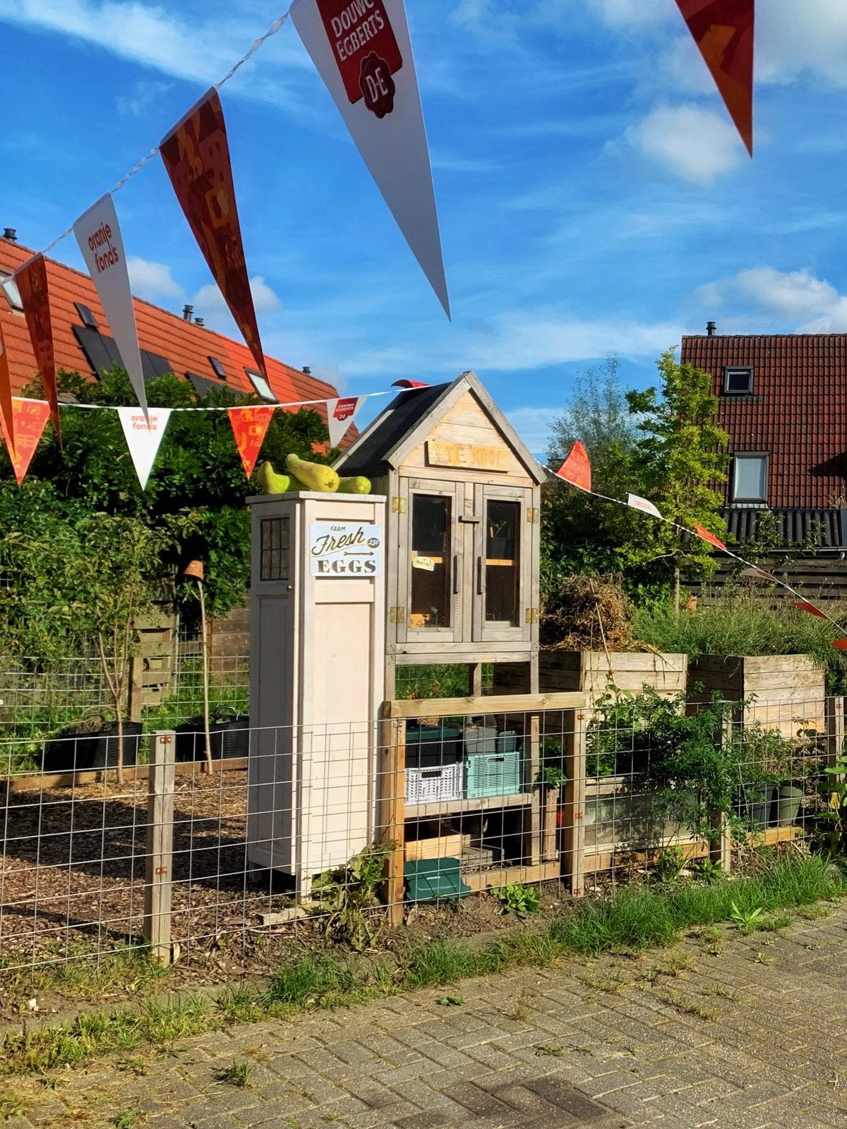 Buurtmoestuin - Plantjes/eitjes/zaadjes en meer!, Ophalen, Eenjarig, Groenteplanten, Volle zon