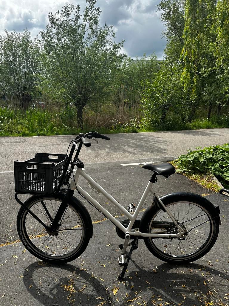 Montego herenfiets met dikke banden en krat, Fietsen en Brommers, Ophalen, Gebruikt, Overige merken