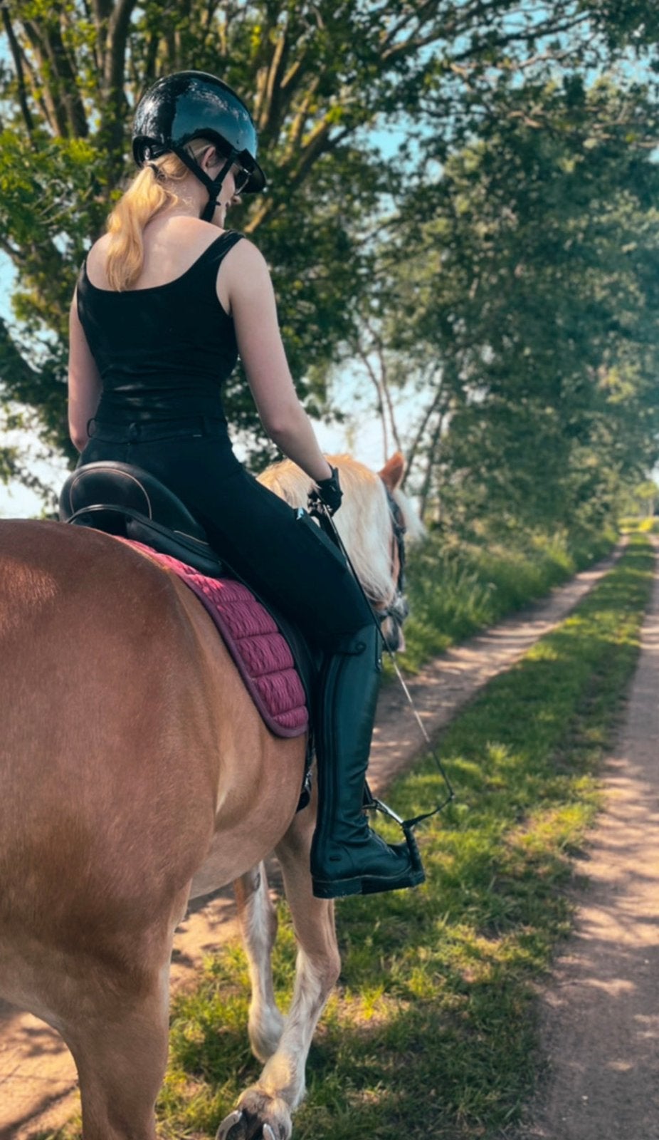 Leaser aangeboden, Dieren en Toebehoren, Paarden en Pony's | Verzorgingsproducten, Ophalen of Verzenden, Zo goed als nieuw