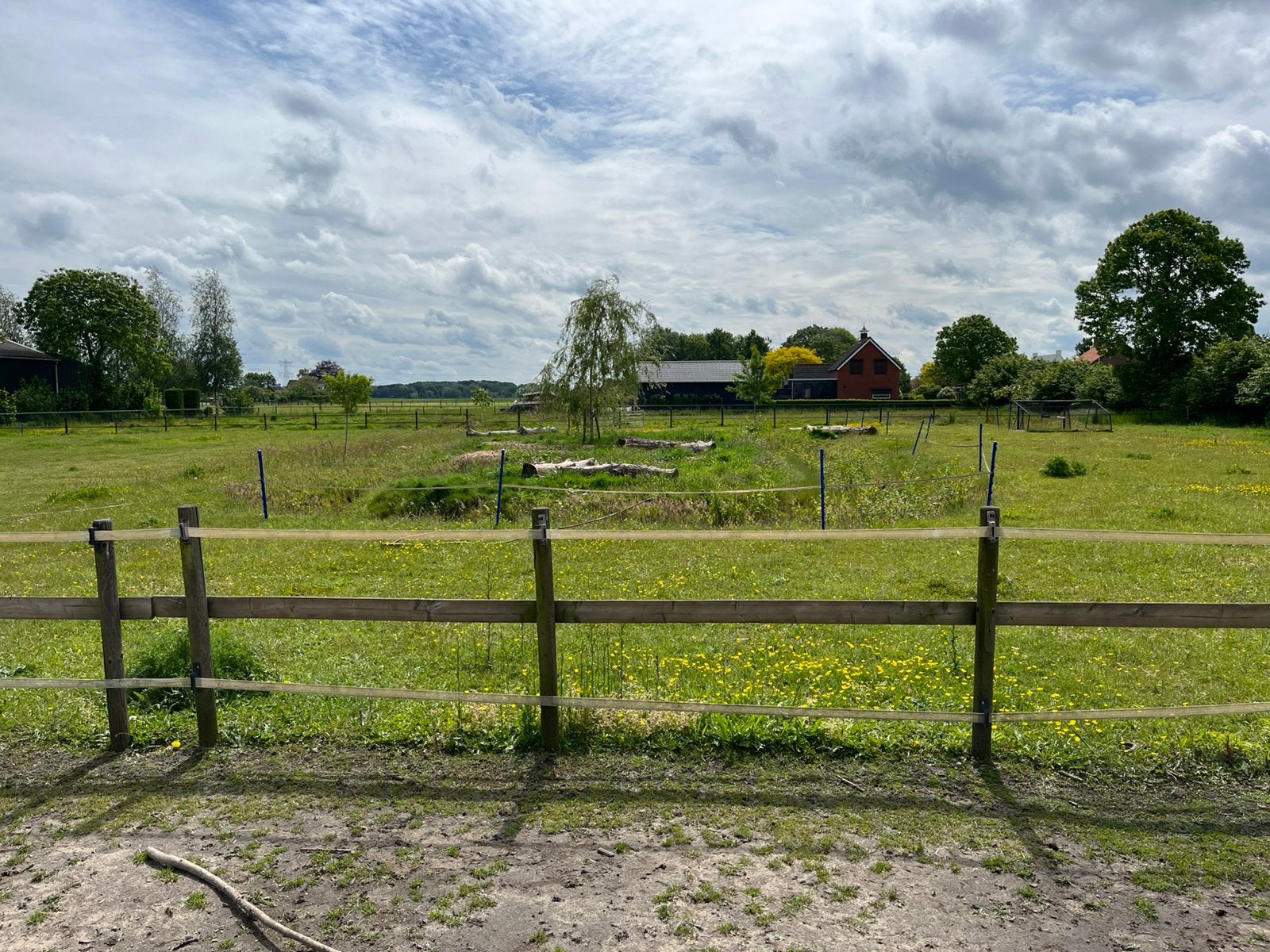 Weidegang /stalling voor Shetlanders, Weidegang