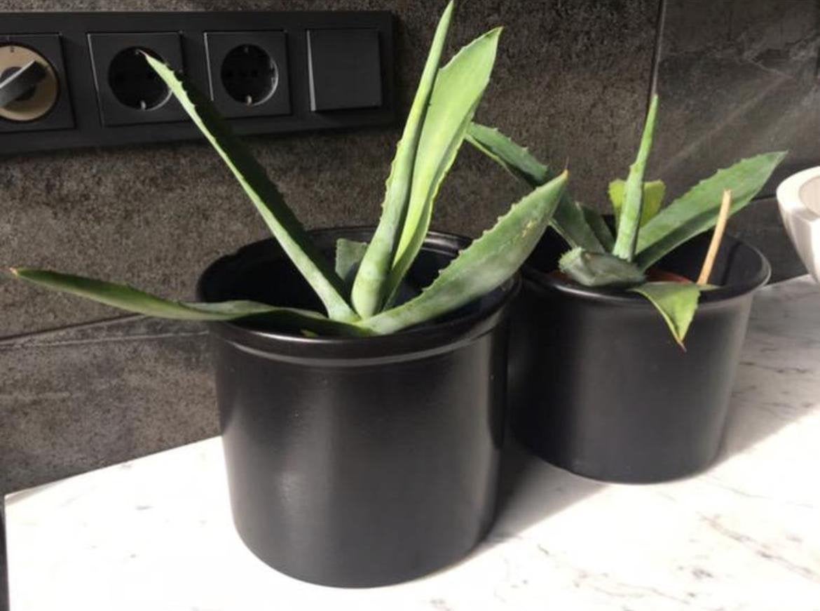 vintage jaren’60 keramische kwaliteit bloempotten planten, Tuin en Terras, Bloempotten, Ophalen, Rond, Binnen, Zo goed als nieuw