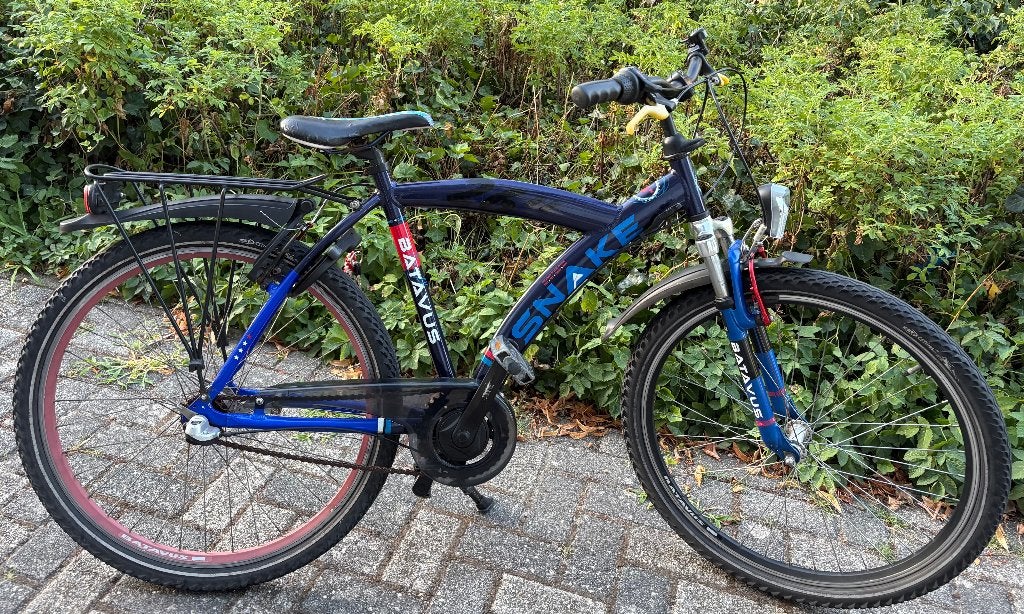 Zeer mooie Batavus Snake 26 inch 3v + vvv FRAME HOOGTE 48 CM, Fietsen en Brommers, Fietsen | Jongens, Terugtraprem, Gebruikt, Versnellingen