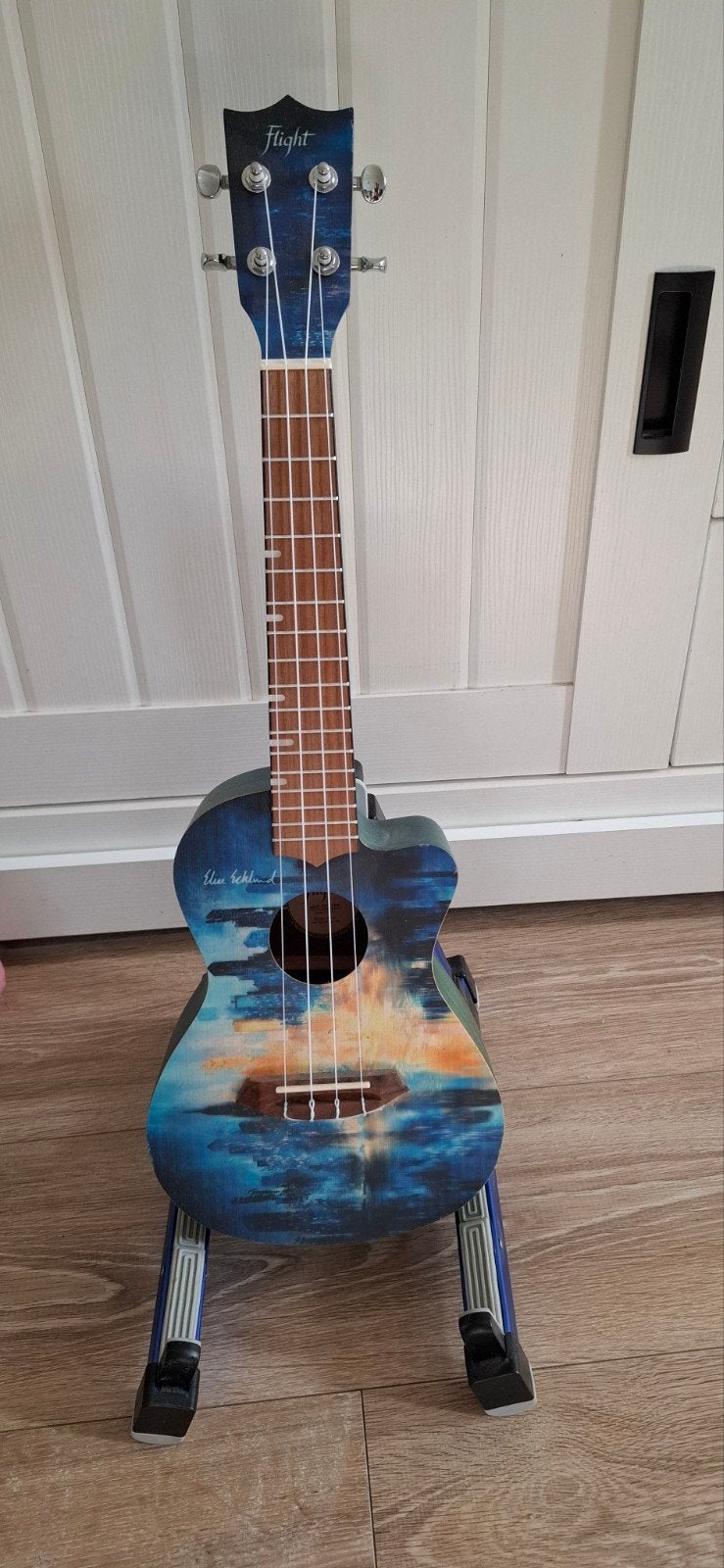 twee ukelele's te koop met veel toebehoren, Ophalen, Zo goed als nieuw, Overige merken, Met versterker
