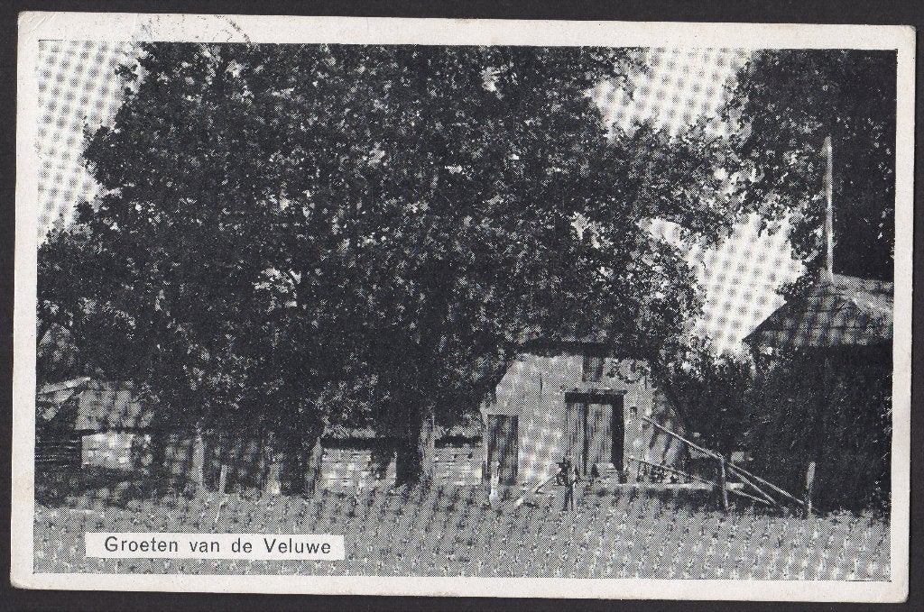 Garderen, Veluwe Serie no.11, Boerderij, gebr. 1955, Ophalen of Verzenden, 1940 tot 1960, Gelopen, Gelderland