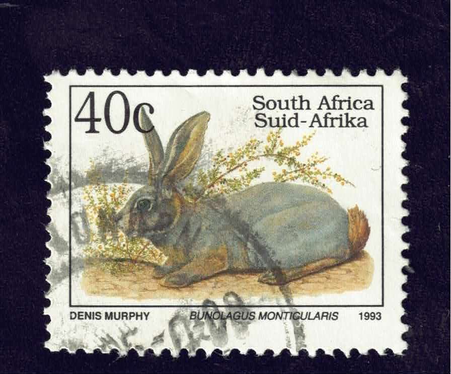 Fauna - Dieren - Konijn - Zuid Afrika - 40c - gebr, Ophalen of Verzenden, Gestempeld, Dier of Natuur