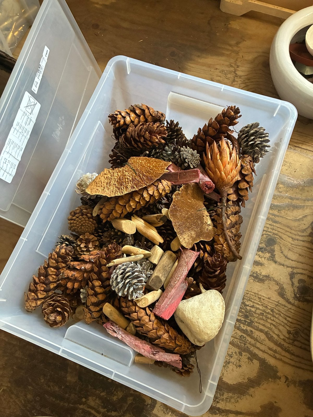 Natuurlijke decoratiebox: dennenappels, schors en meer, Ophalen, Gebruikt, Meerkleurig, Landelijk