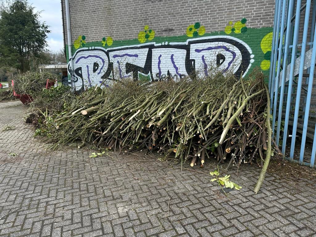 Verse takken voor brandhout of tuindecoratie, 3 tot 6 m³, Ophalen, Overige houtsoorten, Takken
