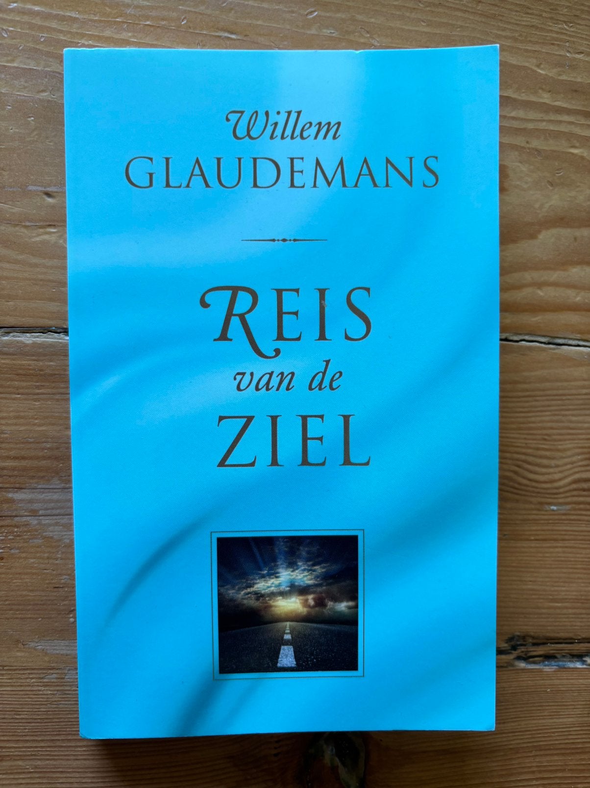 Reis van de ziel - Willem Glaudemans, Boeken, Ophalen of Verzenden, Gelezen