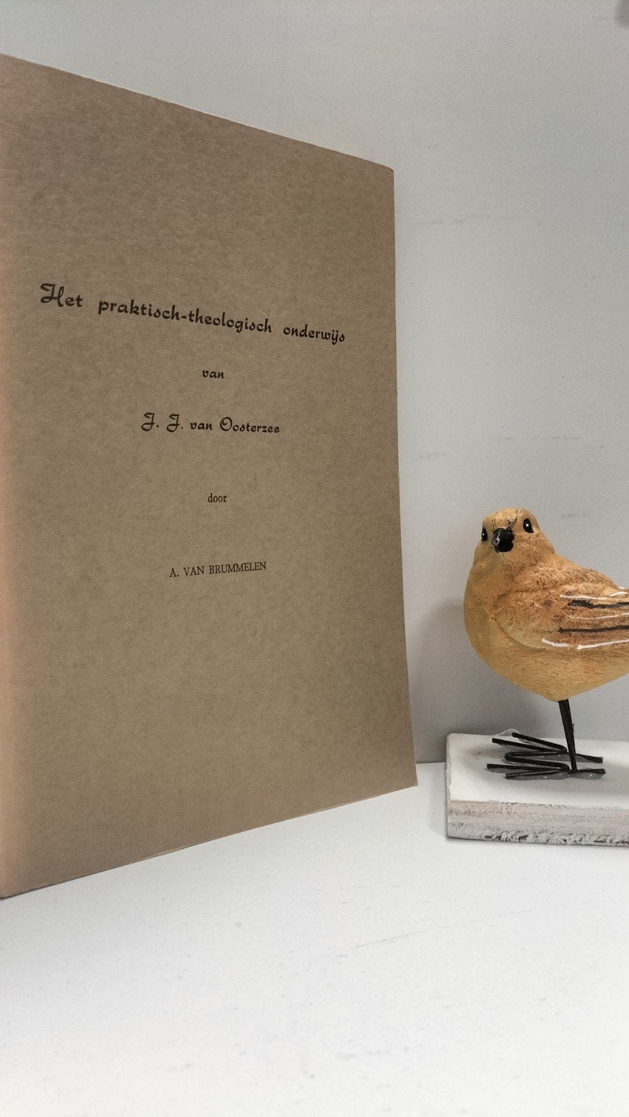 Brummelen, A. van; Het praktisch- theologisch onderwijs van, Ophalen of Verzenden, Gelezen, Christendom | Protestants