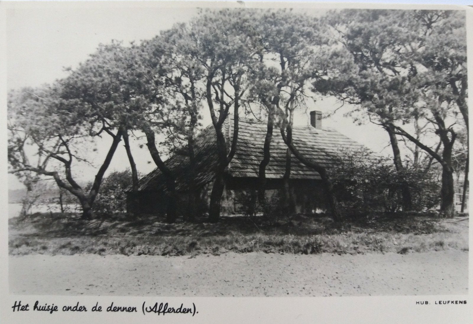Mooie ansicht(fotokrt: Het huisje onder de dennen (afferden), Ophalen of Verzenden, 1960 tot 1980, Ongelopen, Gelderland