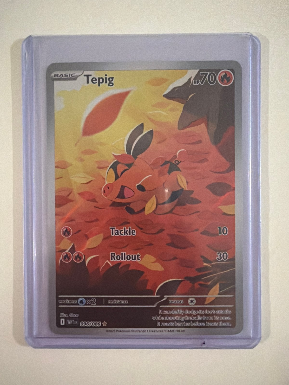 Tepig Pokémon Kaart - Basic, Zo goed als nieuw, Ophalen, Zo goed als nieuw, Losse kaart