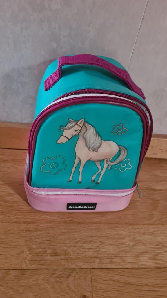 Koffertje voor paarden - Turquoise/Roze, Ophalen of Verzenden, Gebruikt