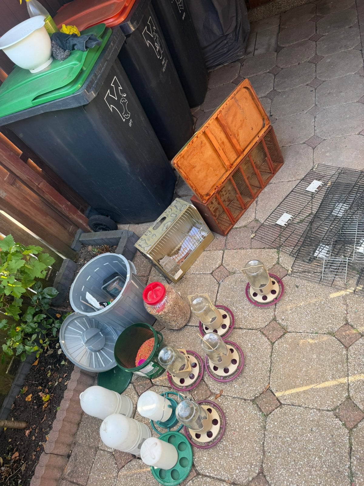 Postduif hok, waterbak, voerbak, voer, Dieren en Toebehoren, Ophalen, Zo goed als nieuw, Hout, Vogelkooi